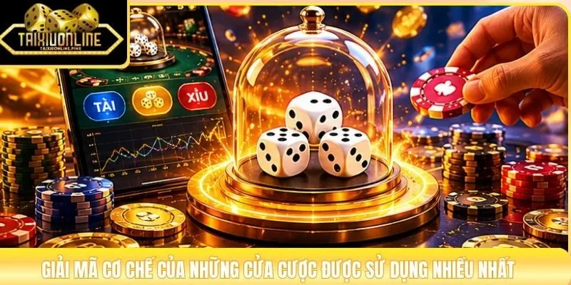 Giải mã cơ chế của những cửa cược được sử dụng nhiều nhất