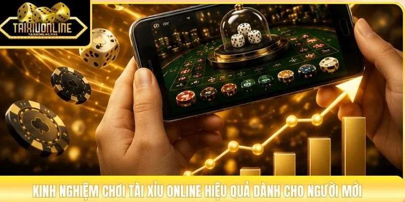 Kinh nghiệm chơi Tài Xỉu Online hiệu quả dành cho người mới