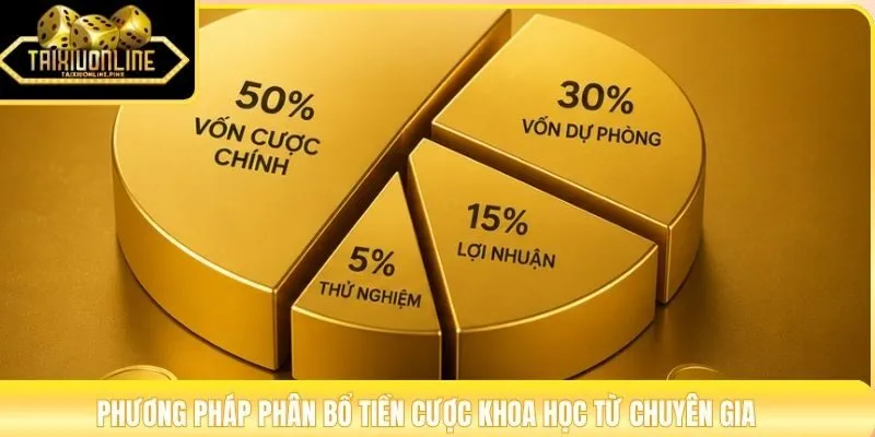 Phương pháp phân bổ tiền cược khoa học từ chuyên gia