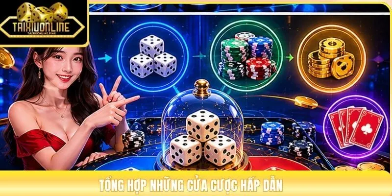 Tổng hợp những cửa cược hấp dẫn