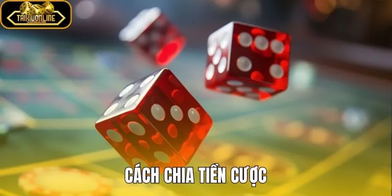 Cách Chia Tiền Cược