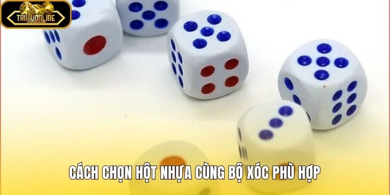 Tiêu chí chọn hột nhựa cùng cốc xóc thuận cầm nhất