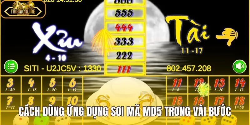 Ứng dụng soi mã MD5 các bước nhập file và đọc kết quả