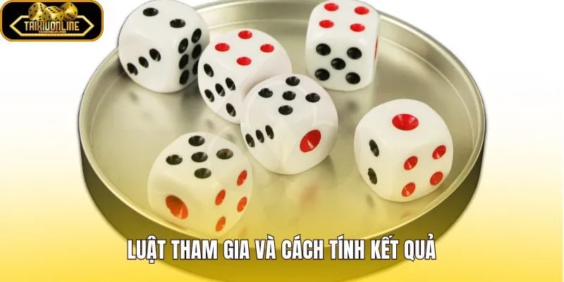 Trò chơi lắc xí ngầu và quy tắc cộng tổng điểm