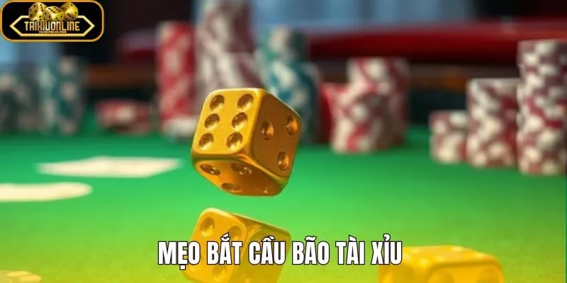 Mẹo Bắt Cầu Bão