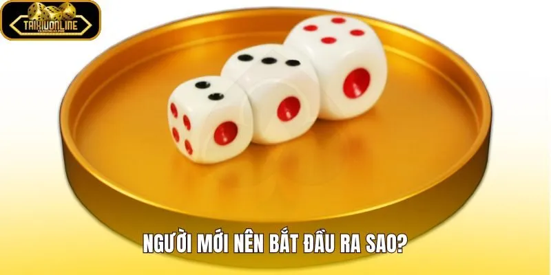 Trò chơi lắc xí ngầu cho người mới quan sát từng ván