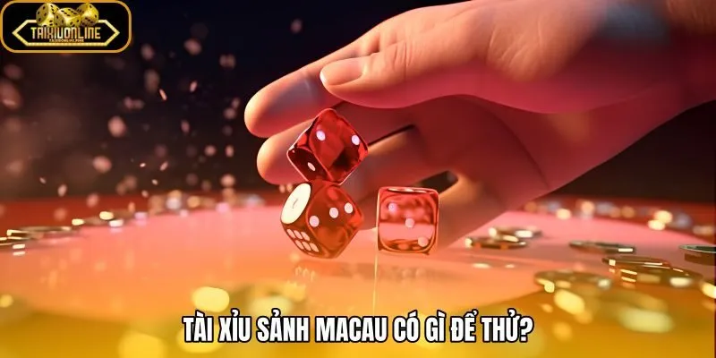 Tài xỉu sảnh Macau với bố cục rõ và nhịp chơi gọn